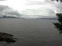 ./images/koeye/fitz-hugh/20200826/fitz-hugh20200826_132002.jpg