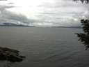 ./images/koeye/fitz-hugh/20200826/fitz-hugh20200826_132502.jpg