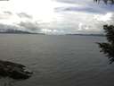./images/koeye/fitz-hugh/20200826/fitz-hugh20200826_133502.jpg