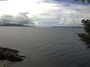 ./images/koeye/fitz-hugh/20200826/fitz-hugh20200826_134502.jpg