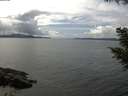 ./images/koeye/fitz-hugh/20200826/fitz-hugh20200826_135502.jpg