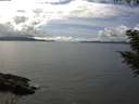 ./images/koeye/fitz-hugh/20200826/fitz-hugh20200826_144001.jpg