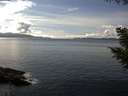 ./images/koeye/fitz-hugh/20200826/fitz-hugh20200826_152501.jpg
