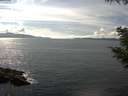 ./images/koeye/fitz-hugh/20200826/fitz-hugh20200826_154001.jpg