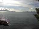 ./images/koeye/fitz-hugh/20200826/fitz-hugh20200826_154501.jpg
