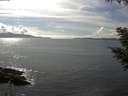 ./images/koeye/fitz-hugh/20200826/fitz-hugh20200826_155002.jpg