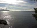 ./images/koeye/fitz-hugh/20200826/fitz-hugh20200826_160502.jpg