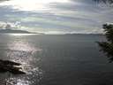 ./images/koeye/fitz-hugh/20200826/fitz-hugh20200826_161002.jpg