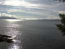 ./images/koeye/fitz-hugh/20200826/fitz-hugh20200826_161502.jpg