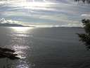 ./images/koeye/fitz-hugh/20200826/fitz-hugh20200826_162002.jpg