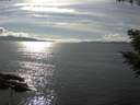 ./images/koeye/fitz-hugh/20200826/fitz-hugh20200826_162502.jpg