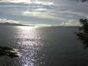 ./images/koeye/fitz-hugh/20200826/fitz-hugh20200826_163502.jpg