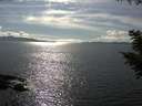 ./images/koeye/fitz-hugh/20200826/fitz-hugh20200826_164002.jpg