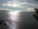 ./images/koeye/fitz-hugh/20200826/fitz-hugh20200826_164502.jpg