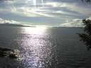 ./images/koeye/fitz-hugh/20200826/fitz-hugh20200826_165002.jpg