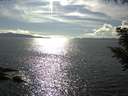 ./images/koeye/fitz-hugh/20200826/fitz-hugh20200826_165501.jpg