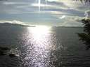 ./images/koeye/fitz-hugh/20200826/fitz-hugh20200826_170501.jpg