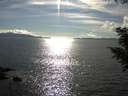 ./images/koeye/fitz-hugh/20200826/fitz-hugh20200826_171001.jpg