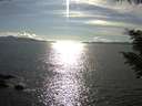 ./images/koeye/fitz-hugh/20200826/fitz-hugh20200826_171501.jpg