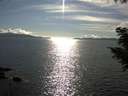 ./images/koeye/fitz-hugh/20200826/fitz-hugh20200826_172001.jpg