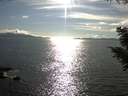 ./images/koeye/fitz-hugh/20200826/fitz-hugh20200826_172501.jpg