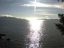 ./images/koeye/fitz-hugh/20200826/fitz-hugh20200826_173501.jpg