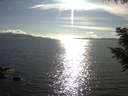 ./images/koeye/fitz-hugh/20200826/fitz-hugh20200826_174001.jpg