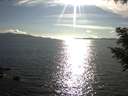 ./images/koeye/fitz-hugh/20200826/fitz-hugh20200826_174501.jpg