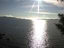 ./images/koeye/fitz-hugh/20200826/fitz-hugh20200826_175001.jpg