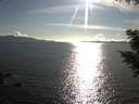 ./images/koeye/fitz-hugh/20200826/fitz-hugh20200826_175501.jpg