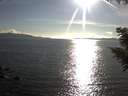 ./images/koeye/fitz-hugh/20200826/fitz-hugh20200826_180501.jpg