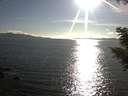 ./images/koeye/fitz-hugh/20200826/fitz-hugh20200826_181001.jpg