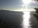 ./images/koeye/fitz-hugh/20200826/fitz-hugh20200826_181501.jpg