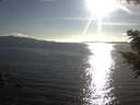 ./images/koeye/fitz-hugh/20200826/fitz-hugh20200826_182001.jpg