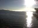 ./images/koeye/fitz-hugh/20200826/fitz-hugh20200826_183502.jpg