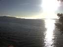 ./images/koeye/fitz-hugh/20200826/fitz-hugh20200826_184001.jpg