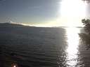 ./images/koeye/fitz-hugh/20200826/fitz-hugh20200826_184501.jpg