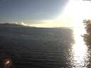 ./images/koeye/fitz-hugh/20200826/fitz-hugh20200826_190502.jpg
