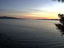 ./images/koeye/fitz-hugh/20200826/fitz-hugh20200826_203501.jpg
