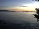 ./images/koeye/fitz-hugh/20200826/fitz-hugh20200826_204501.jpg