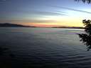 ./images/koeye/fitz-hugh/20200826/fitz-hugh20200826_211001.jpg