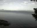 ./images/koeye/fitz-hugh/20200827/fitz-hugh20200827_055501.jpg
