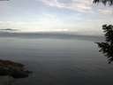 ./images/koeye/fitz-hugh/20200827/fitz-hugh20200827_060501.jpg