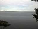 ./images/koeye/fitz-hugh/20200827/fitz-hugh20200827_061501.jpg