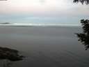 ./images/koeye/fitz-hugh/20200827/fitz-hugh20200827_062001.jpg