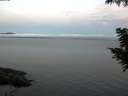 ./images/koeye/fitz-hugh/20200827/fitz-hugh20200827_062501.jpg