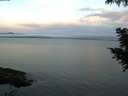 ./images/koeye/fitz-hugh/20200827/fitz-hugh20200827_063502.jpg