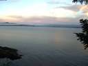 ./images/koeye/fitz-hugh/20200827/fitz-hugh20200827_064002.jpg