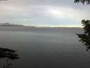 ./images/koeye/fitz-hugh/20200827/fitz-hugh20200827_075501.jpg