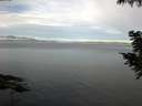 ./images/koeye/fitz-hugh/20200827/fitz-hugh20200827_081501.jpg